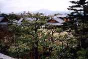 20020420-r10-22.jpg