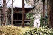 20020420-r11-13.jpg