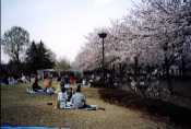 20020420-r12-17.jpg