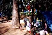 20020420-r3-19.jpg