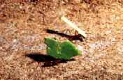 200105-202-02.jpg