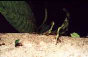 200105-202-14.jpg