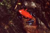 200105-204-13.jpg