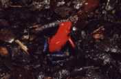 200105-204-15.jpg