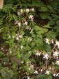 2005-06-05_012.jpg