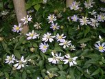 2005-06-05_013.jpg