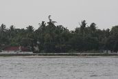IMG_1531_Cochin.jpg
