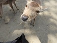 DSCN1581.jpg