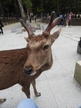 DSCN1688.jpg