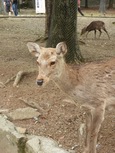 DSCN1697.jpg