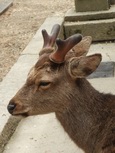 DSCN1709.jpg