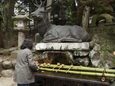 DSCN1721.jpg