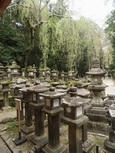 DSCN1740.jpg