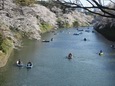 DSCN1313.jpg