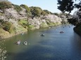 DSCN1317.jpg