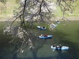 DSCN1323.jpg
