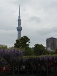 DSCN1899.jpg