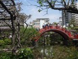 DSCN1793.jpg