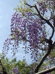 DSCN1805.jpg