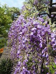 DSCN1809.jpg