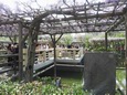 DSCN1820.jpg