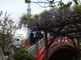 DSCN1865.jpg