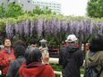 DSCN1881.jpg