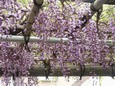 DSCN1889.jpg