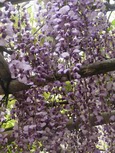 DSCN1891.jpg