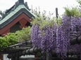 DSCN1895.jpg