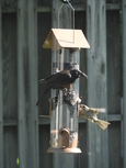 DSCN1980.jpg