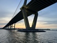 IMG_3801.jpg